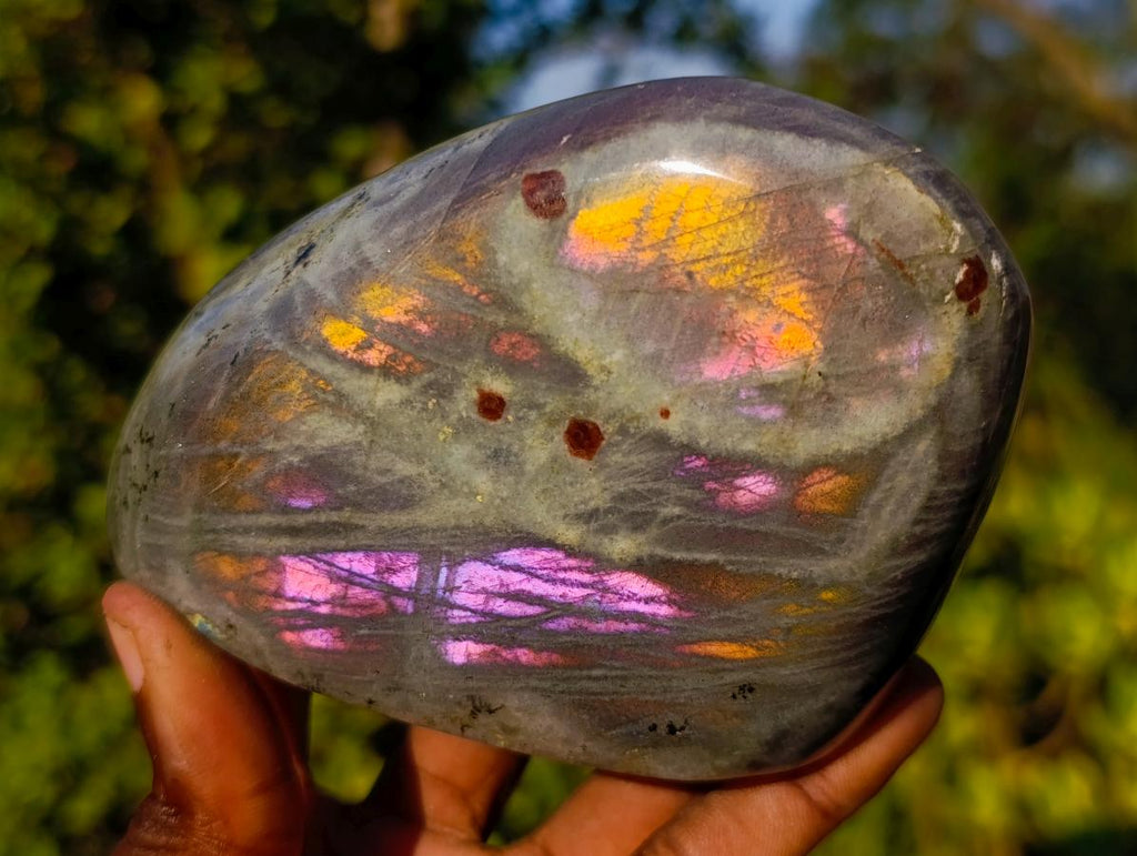 Polished Sunset Flash Labradorite Standing Display Pieces x 3 From Madagascar