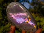 Polished Sunset Flash Labradorite Standing Display Pieces x 3 From Madagascar