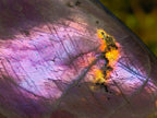 Polished Sunset Flash Labradorite Standing Display Pieces x 3 From Madagascar