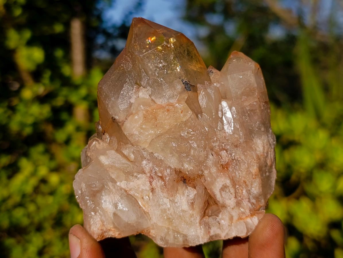 Natural Mix of Multi Mineral Specimens x 6 From Southern Africa - Toprock Gemstones and Minerals 