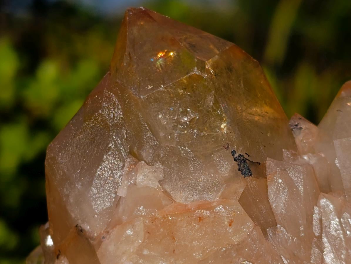 Natural Mix of Multi Mineral Specimens x 6 From Southern Africa - Toprock Gemstones and Minerals 