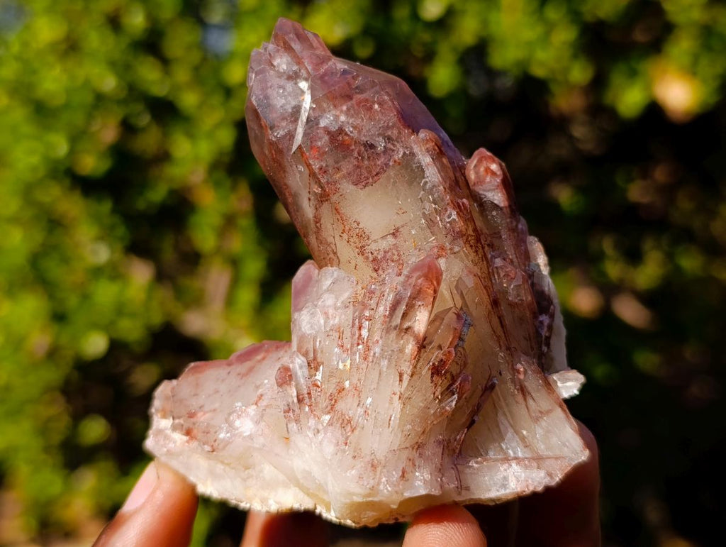 Natural Red Hematoid Quartz Crystals x 12 From Karoi, Zimbabwe - Toprock Gemstones and Minerals 