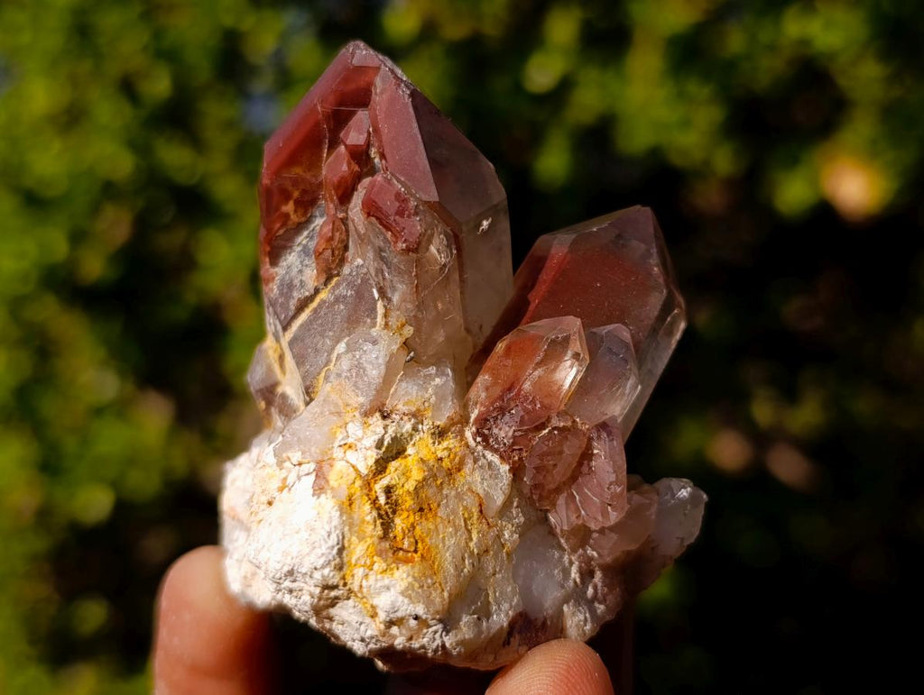 Natural Red Hematoid Quartz Crystals x 12 From Karoi, Zimbabwe - Toprock Gemstones and Minerals 