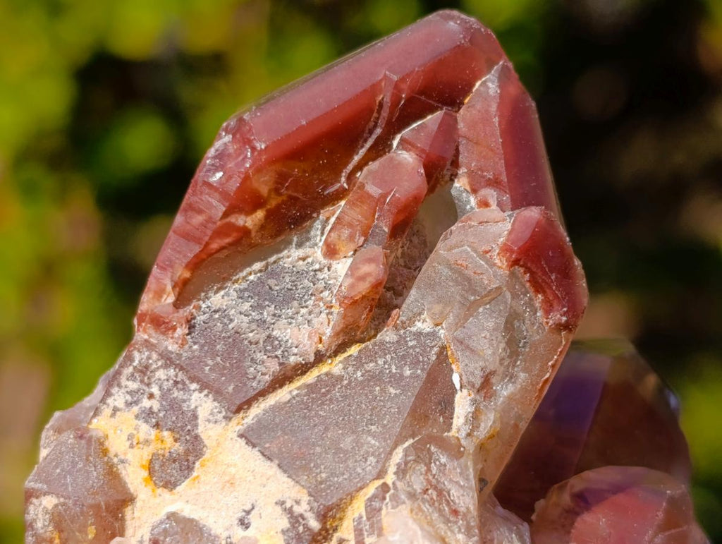 Natural Red Hematoid Quartz Crystals x 12 From Karoi, Zimbabwe - Toprock Gemstones and Minerals 
