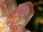 Natural Red Hematoid Quartz Crystals x 12 From Karoi, Zimbabwe - Toprock Gemstones and Minerals 