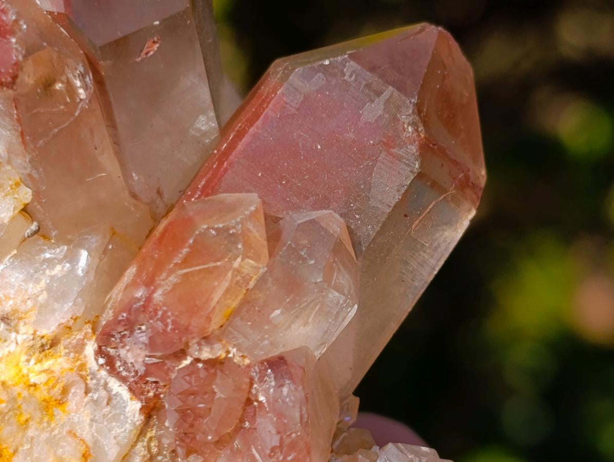 Natural Red Hematoid Quartz Crystals x 12 From Karoi, Zimbabwe - Toprock Gemstones and Minerals 