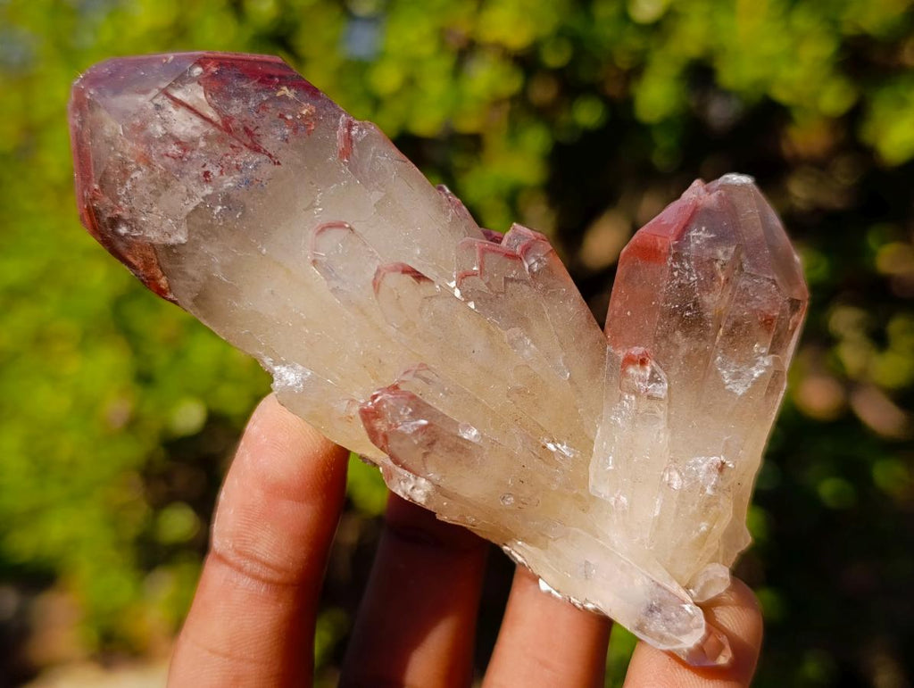 Natural Red Hematoid Quartz Crystals x 12 From Karoi, Zimbabwe - Toprock Gemstones and Minerals 