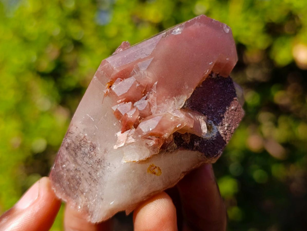 Natural Red Hematoid Quartz Crystals x 12 From Karoi, Zimbabwe - Toprock Gemstones and Minerals 