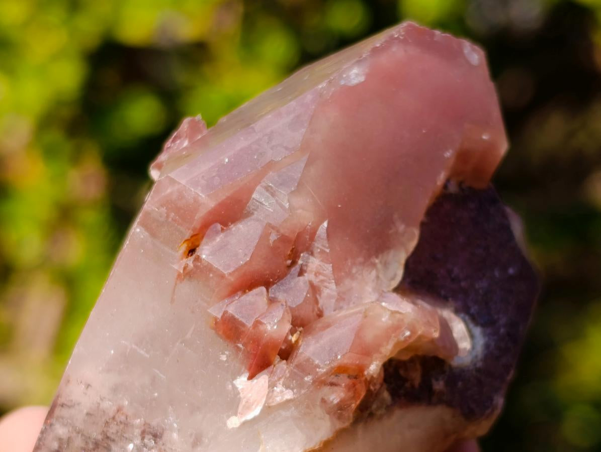 Natural Red Hematoid Quartz Crystals x 12 From Karoi, Zimbabwe - Toprock Gemstones and Minerals 