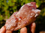 Natural Red Hematoid Quartz Crystals x 12 From Karoi, Zimbabwe - Toprock Gemstones and Minerals 