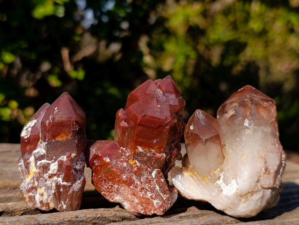 Natural Red Hematoid Quartz Crystals x 12 From Karoi, Zimbabwe - Toprock Gemstones and Minerals 
