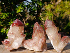 Natural Red Hematoid Quartz Crystals x 12 From Karoi, Zimbabwe - Toprock Gemstones and Minerals 