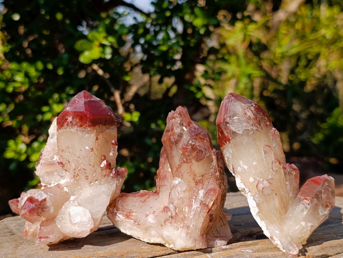 Natural Red Hematoid Quartz Crystals x 12 From Karoi, Zimbabwe - Toprock Gemstones and Minerals 