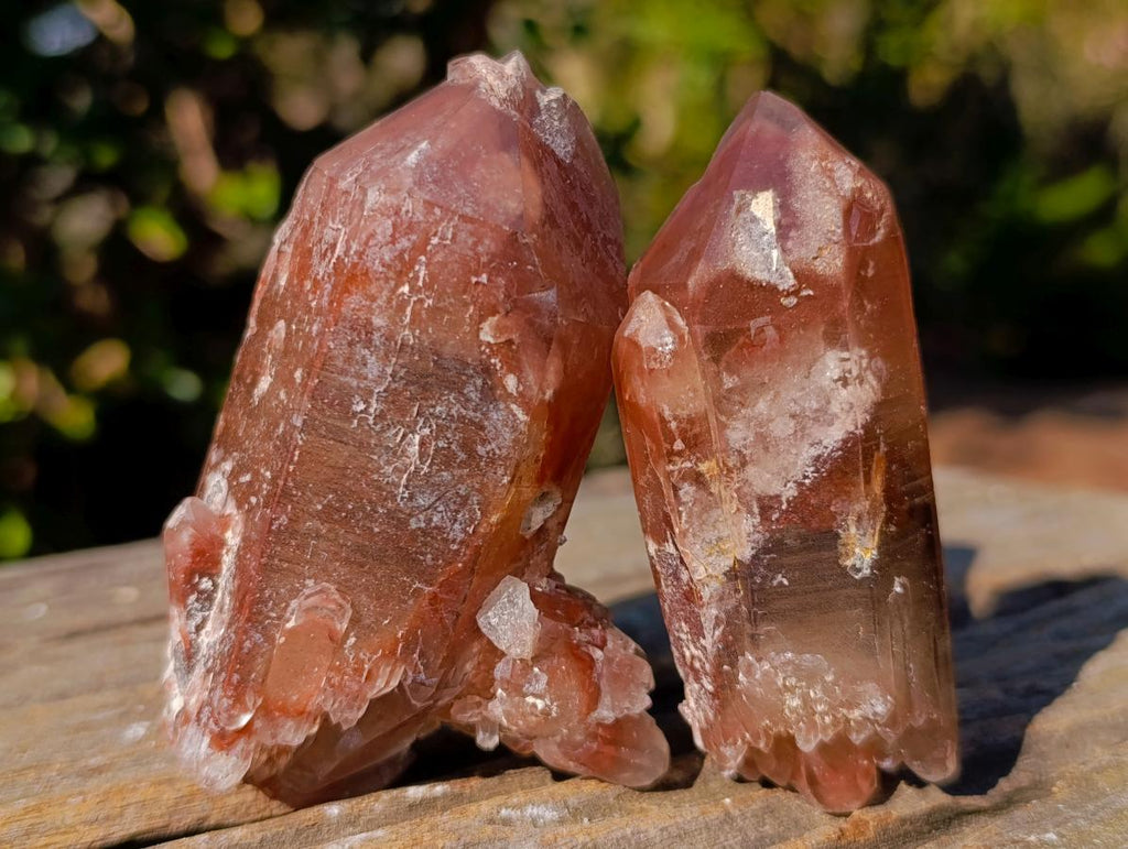 Natural Red Hematoid Quartz Crystals x 12 From Karoi, Zimbabwe - Toprock Gemstones and Minerals 