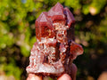 Natural Red Hematoid Quartz Crystals x 12 From Karoi, Zimbabwe - Toprock Gemstones and Minerals 