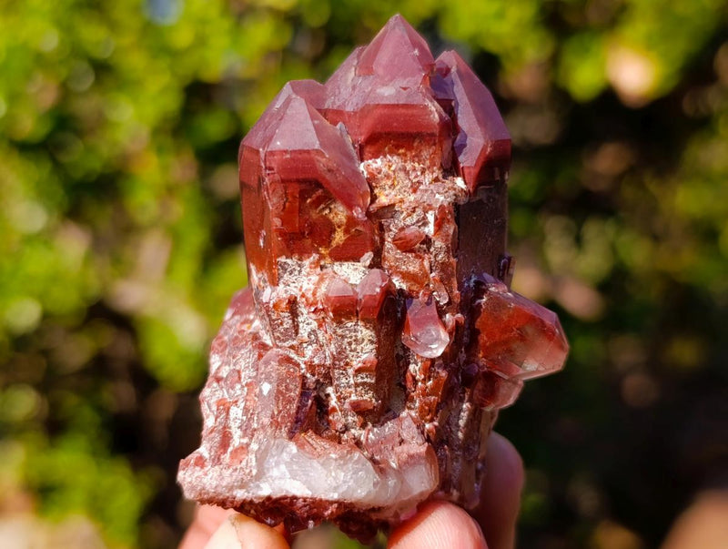 Natural Red Hematoid Quartz Crystals x 12 From Karoi, Zimbabwe - Toprock Gemstones and Minerals 