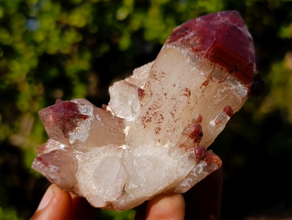 Natural Red Hematoid Quartz Crystals x 12 From Karoi, Zimbabwe - Toprock Gemstones and Minerals 