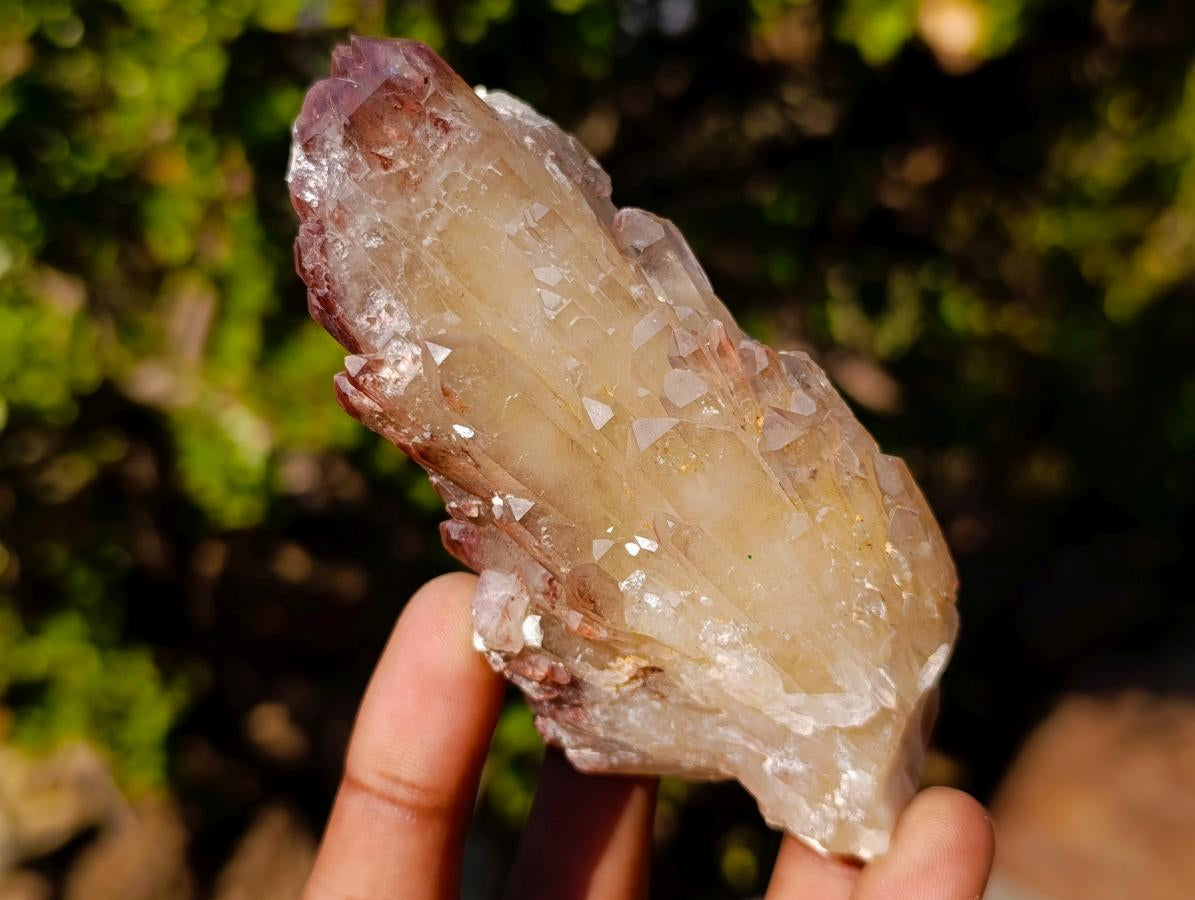 Natural Red Hematoid Quartz Crystals x 12 From Karoi, Zimbabwe - Toprock Gemstones and Minerals 