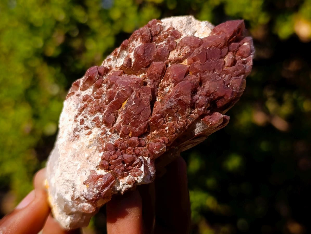 Natural Red Hematoid Quartz Crystals x 12 From Karoi, Zimbabwe - Toprock Gemstones and Minerals 