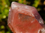 Natural Red Hematoid Quartz Crystals x 12 From Karoi, Zimbabwe - Toprock Gemstones and Minerals 