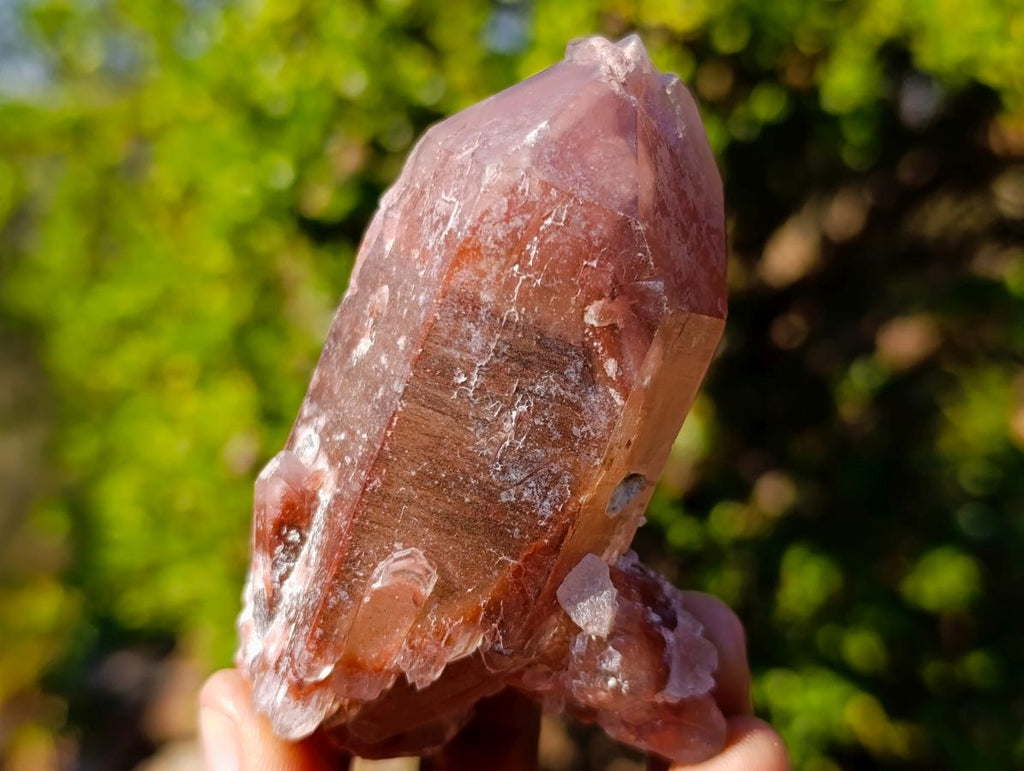 Natural Red Hematoid Quartz Crystals x 12 From Karoi, Zimbabwe - Toprock Gemstones and Minerals 
