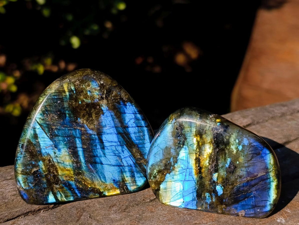 Polished Labradorite Standing Display Pieces x 12 From Madagascar - Toprock Gemstones and Minerals 