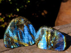 Polished Labradorite Standing Display Pieces x 12 From Madagascar - Toprock Gemstones and Minerals 