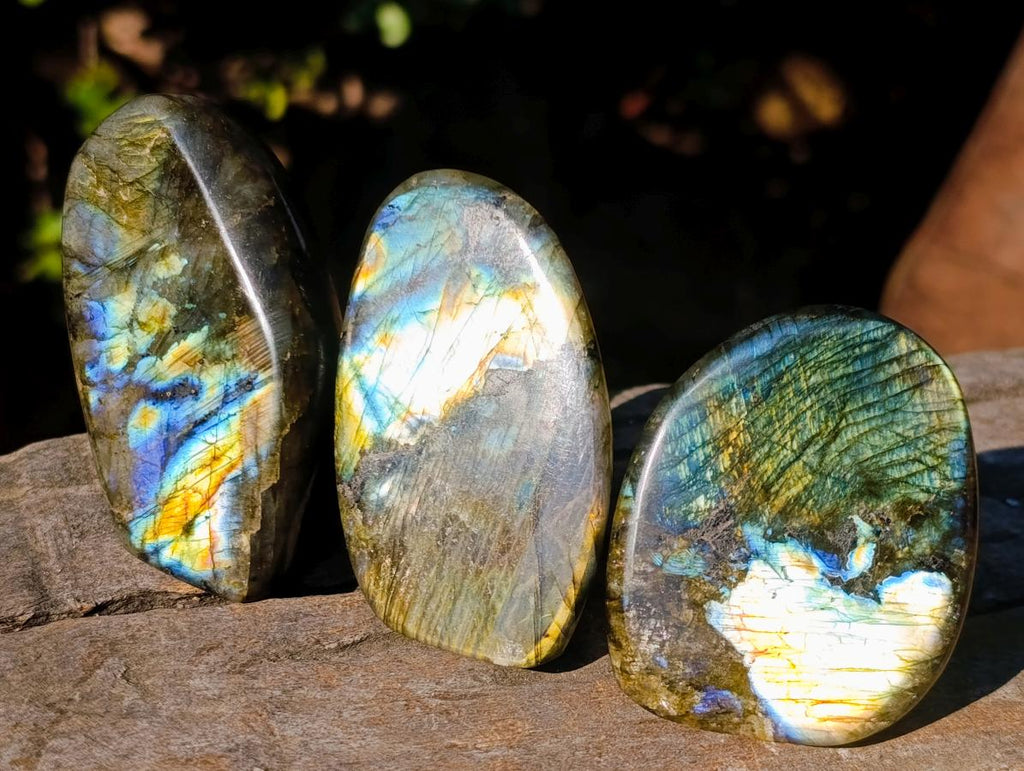 Polished Labradorite Standing Display Pieces x 12 From Madagascar - Toprock Gemstones and Minerals 