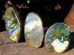 Polished Labradorite Standing Display Pieces x 12 From Madagascar - Toprock Gemstones and Minerals 