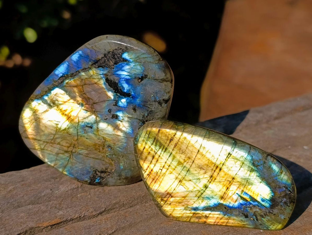 Polished Labradorite Standing Display Pieces x 12 From Madagascar - Toprock Gemstones and Minerals 