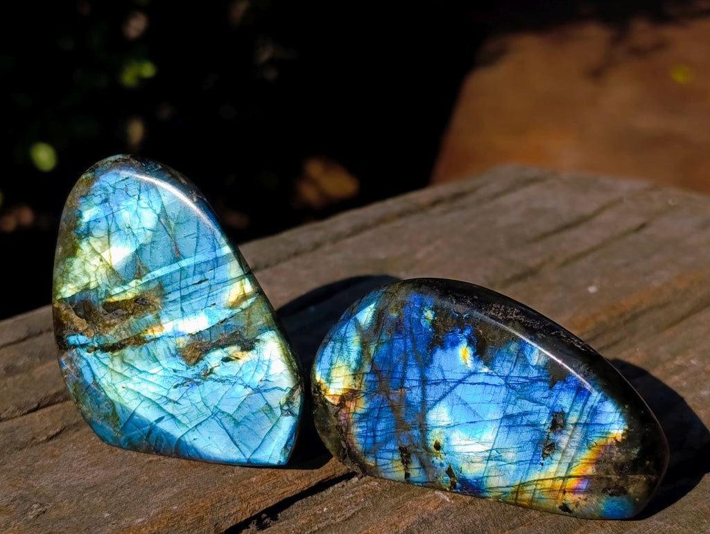 Polished Labradorite Standing Display Pieces x 12 From Madagascar - Toprock Gemstones and Minerals 