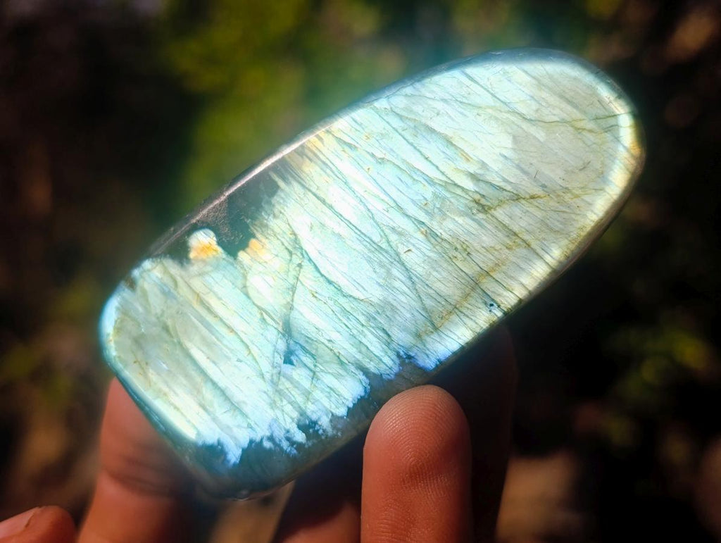 Polished Labradorite Standing Display Pieces x 12 From Madagascar - Toprock Gemstones and Minerals 