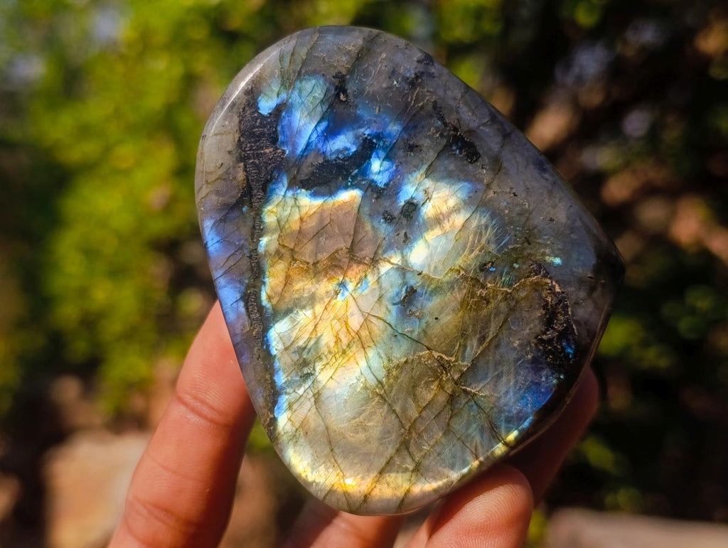Polished Labradorite Standing Display Pieces x 12 From Madagascar - Toprock Gemstones and Minerals 