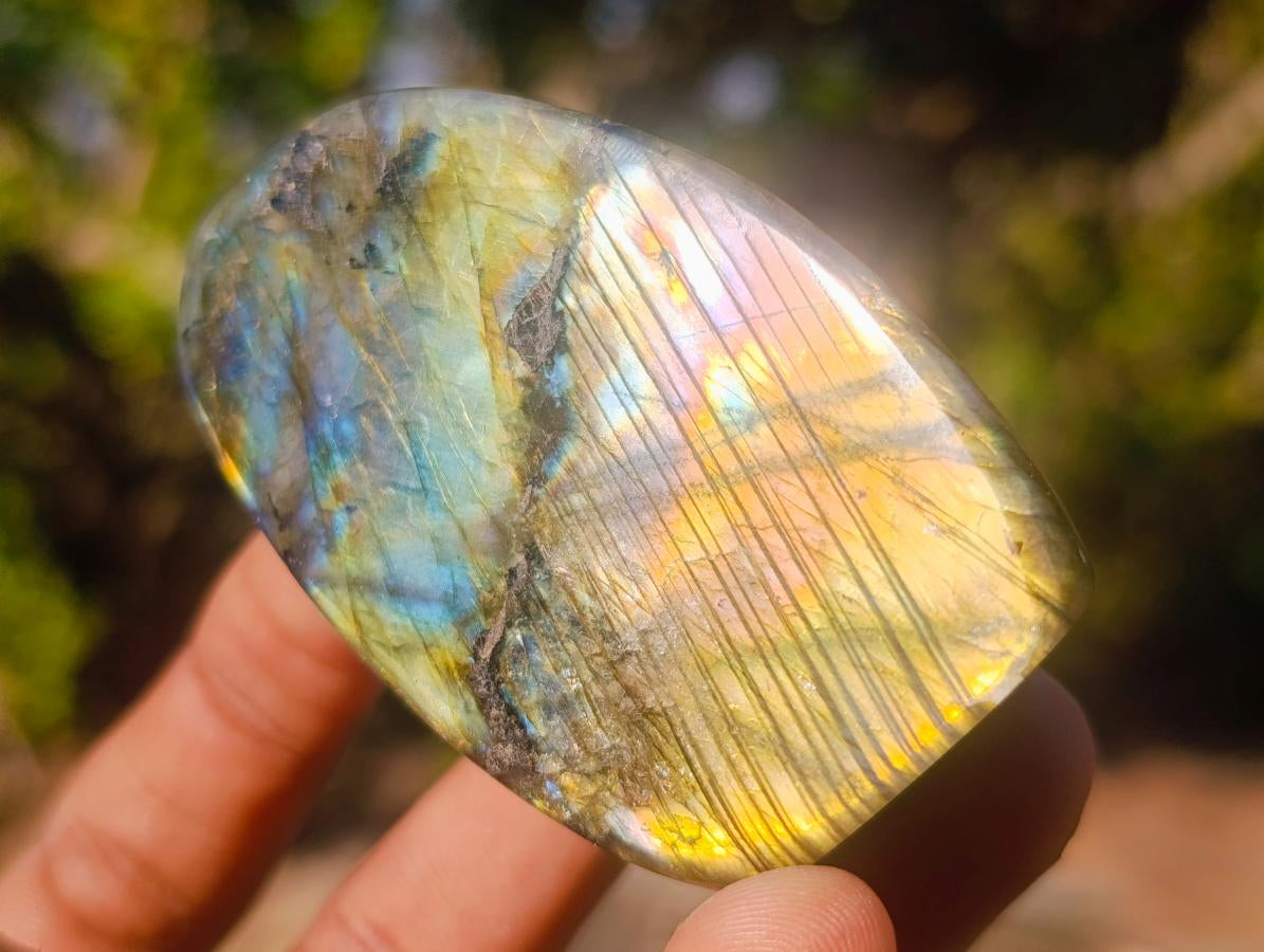 Polished Labradorite Standing Display Pieces x 12 From Madagascar - Toprock Gemstones and Minerals 