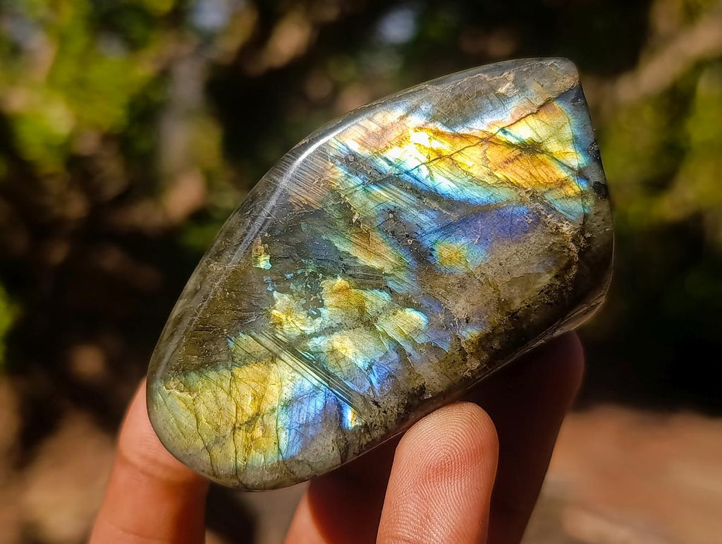 Polished Labradorite Standing Display Pieces x 12 From Madagascar - Toprock Gemstones and Minerals 