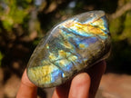 Polished Labradorite Standing Display Pieces x 12 From Madagascar - Toprock Gemstones and Minerals 