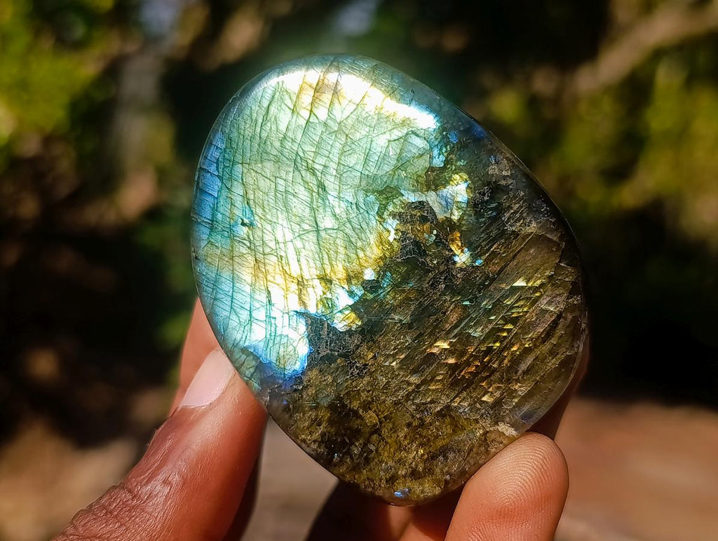 Polished Labradorite Standing Display Pieces x 12 From Madagascar - Toprock Gemstones and Minerals 