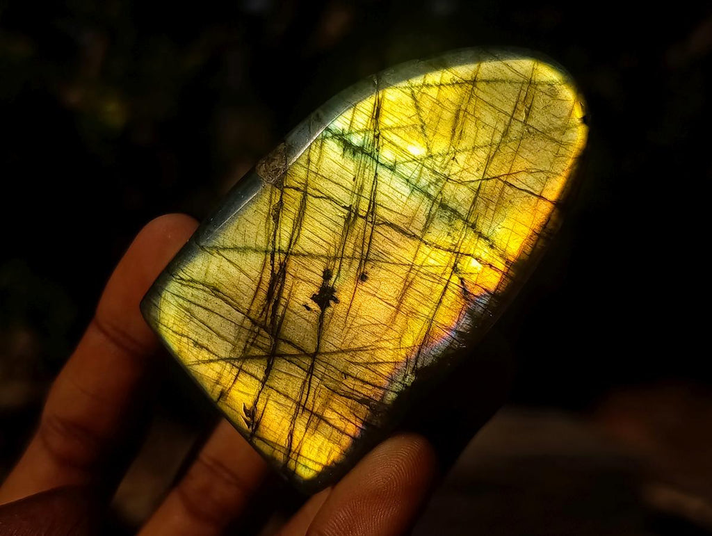Polished Labradorite Standing Display Pieces x 12 From Madagascar - Toprock Gemstones and Minerals 