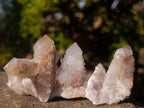 Natural Mixed Spirit Quartz Crystals and Clusters x 35 From Boekenhouthoek, South Africa - Toprock Gemstones and Minerals 