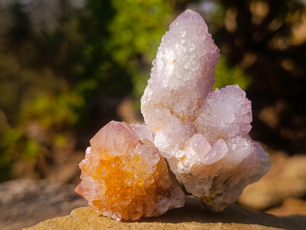 Natural Mixed Spirit Quartz Crystals and Clusters x 35 From Boekenhouthoek, South Africa - Toprock Gemstones and Minerals 