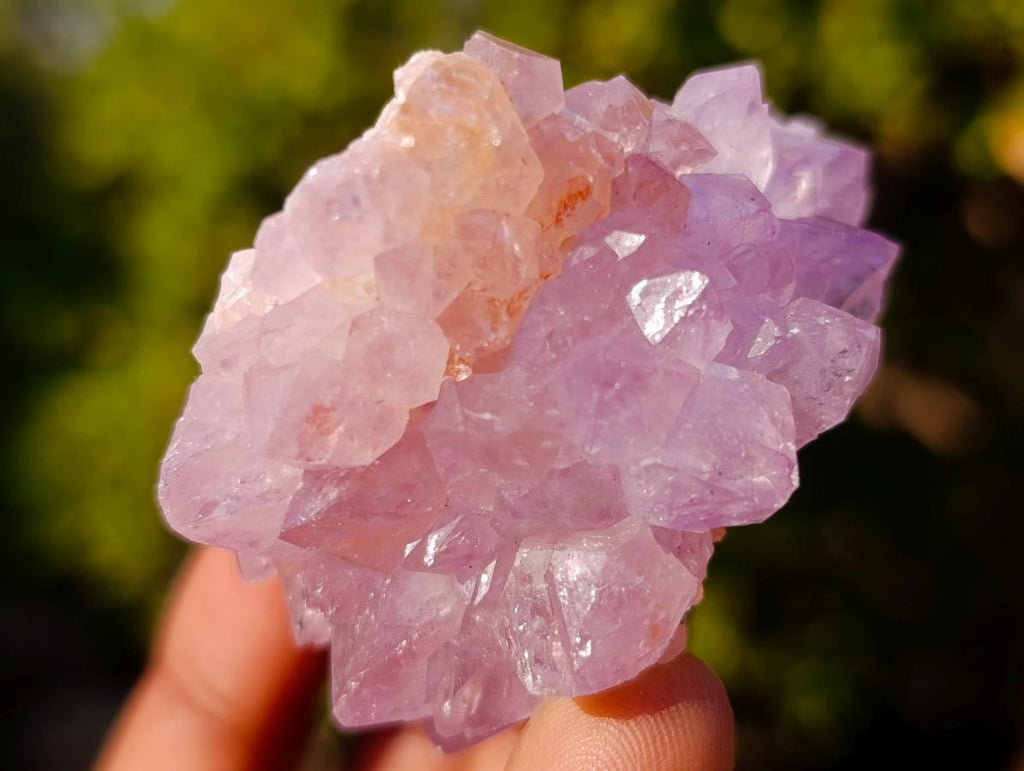 Natural Mixed Spirit Quartz Crystals and Clusters x 35 From Boekenhouthoek, South Africa - Toprock Gemstones and Minerals 