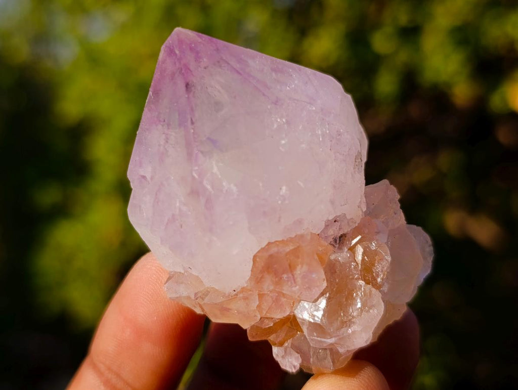 Natural Mixed Spirit Quartz Crystals and Clusters x 35 From Boekenhouthoek, South Africa - Toprock Gemstones and Minerals 
