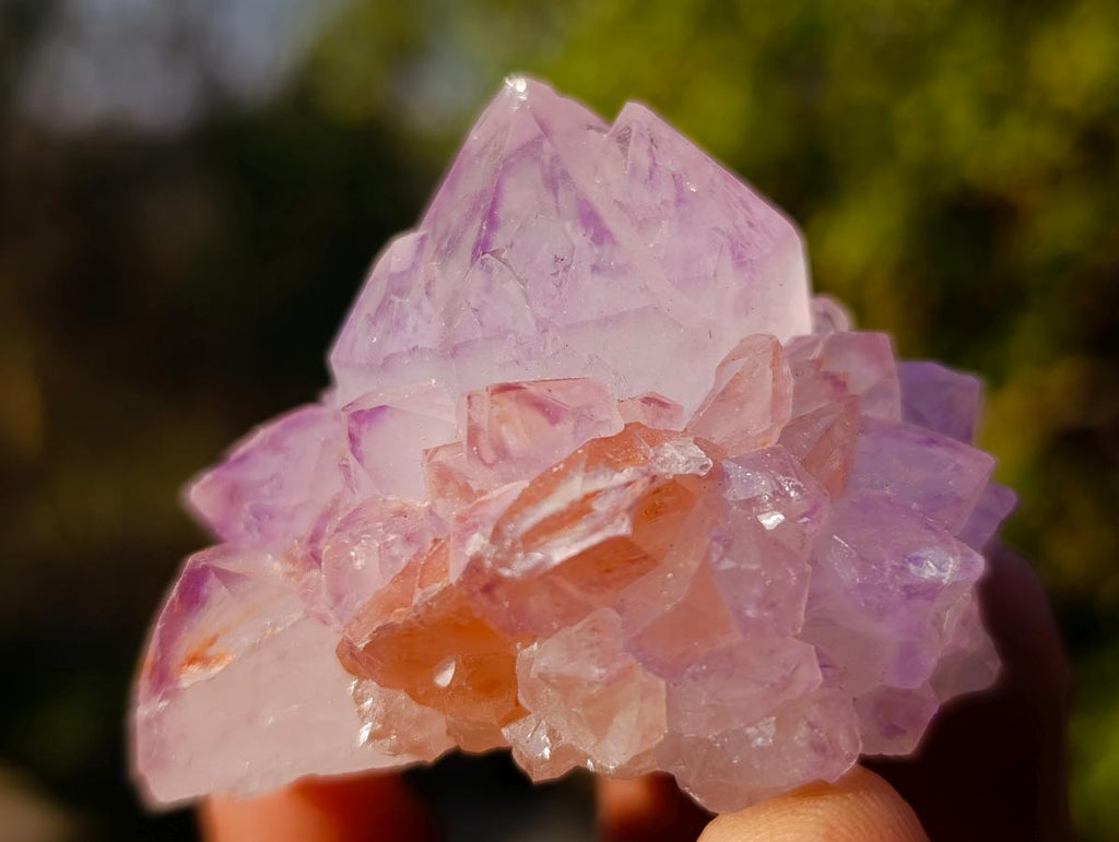 Natural Mixed Spirit Quartz Crystals and Clusters x 35 From Boekenhouthoek, South Africa - Toprock Gemstones and Minerals 