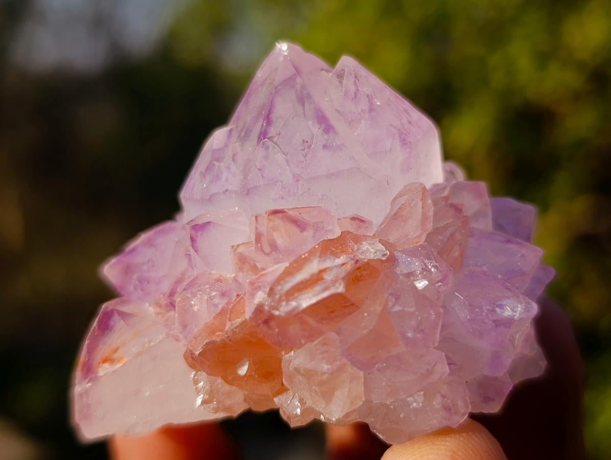 Natural Mixed Spirit Quartz Crystals and Clusters x 35 From Boekenhouthoek, South Africa - Toprock Gemstones and Minerals 