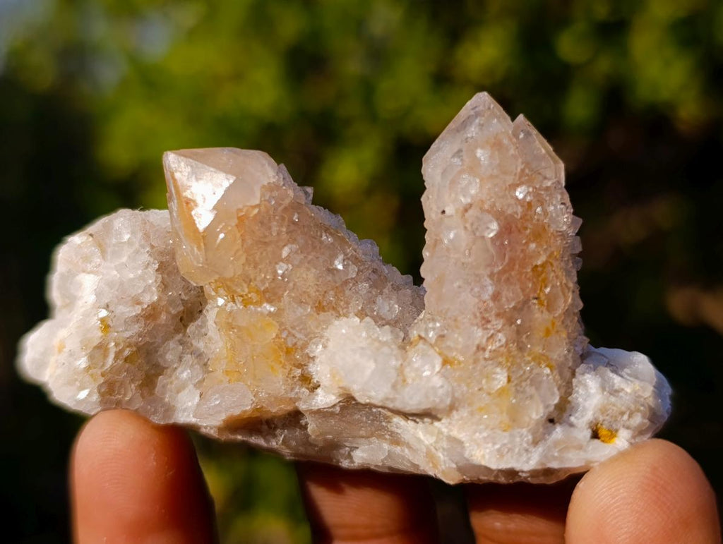 Natural Mixed Spirit Quartz Crystals and Clusters x 35 From Boekenhouthoek, South Africa - Toprock Gemstones and Minerals 