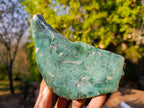 Polished One Side Mtorolite Chrysoprase Slices x 6 From Mutorashanga, Zimbabwe