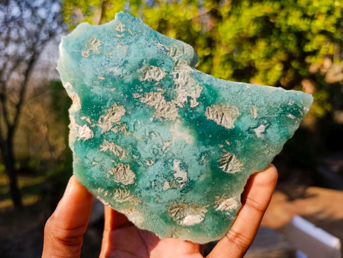 Polished One Side Mtorolite Chrysoprase Slices x 6 From Mutorashanga, Zimbabwe