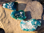 Polished One Side Mtorolite Chrysoprase Slices x 6 From Mutorashanga, Zimbabwe