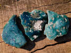 Polished One Side Mtorolite Chrysoprase Slices x 6 From Mutorashanga, Zimbabwe