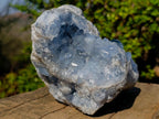 Natural Large Blue Celestite Geode Specimen x 1 From Sakoany, Madagascar